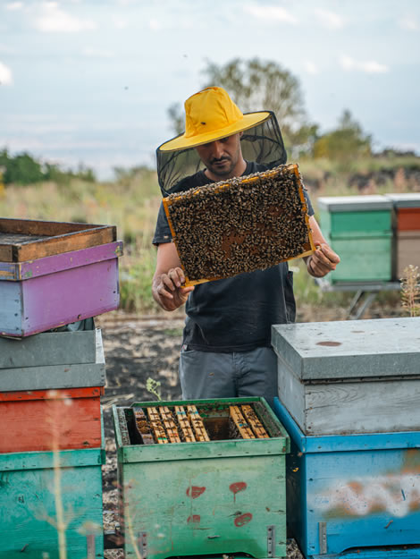 Apicoltura Meli Duci